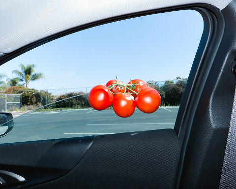 Civic Drift image 10